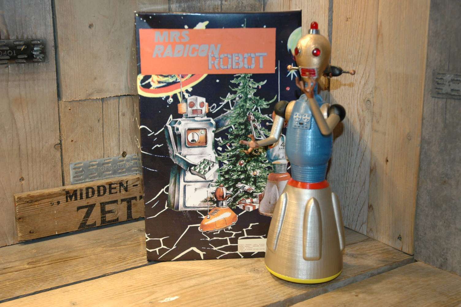 Roboz Inc. - Mrs. Radicon Robot